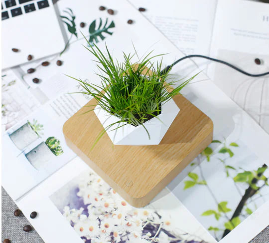 Floating Flower Pot for Home Decor